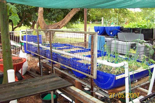 whole system view 2.jpg