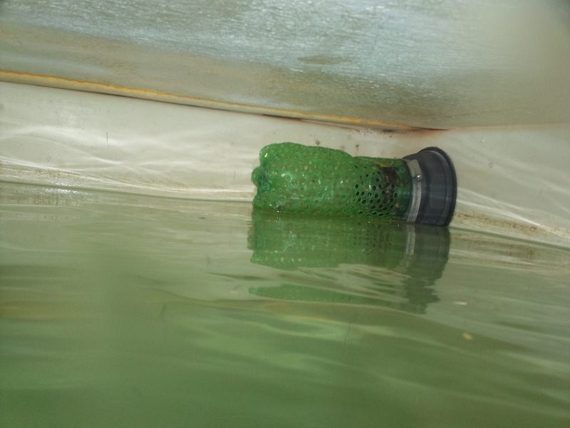 100_0285 (800x600).jpg