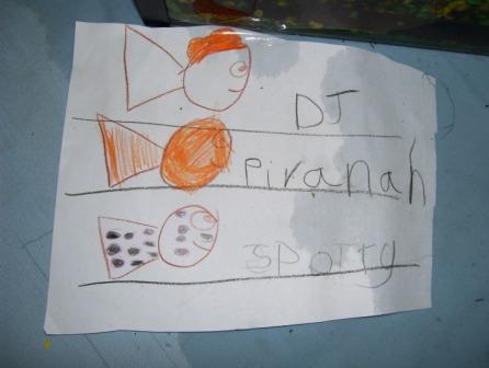 aquaponics at school 003.jpg