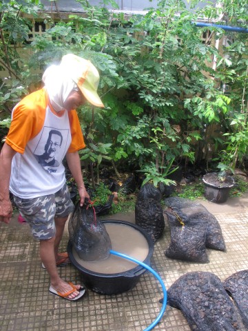 IMG_5314 (Small).JPG