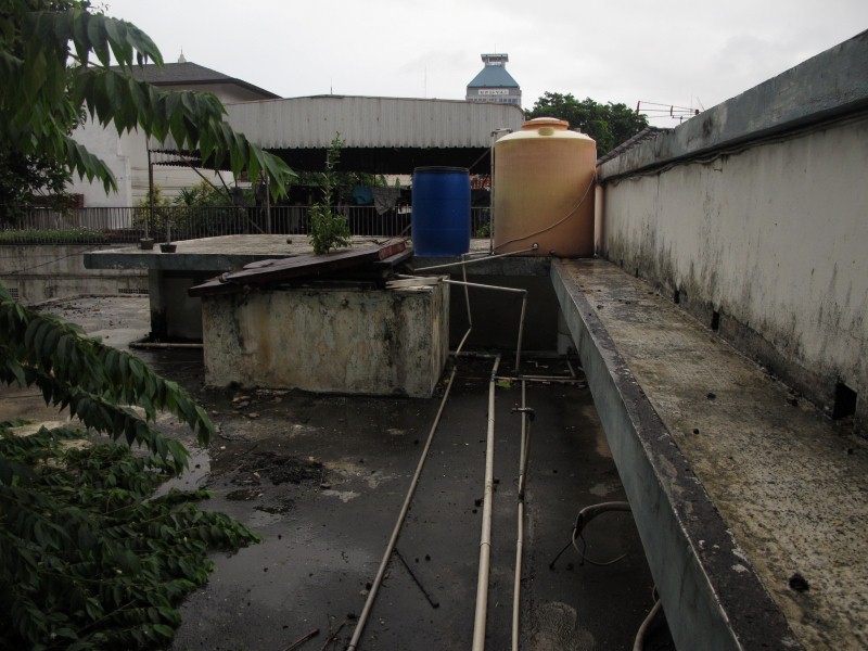 IMG_5559 (Custom).JPG