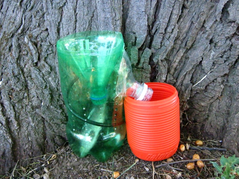 120 Things in 20 years - entomology - my first fly farm.JPG