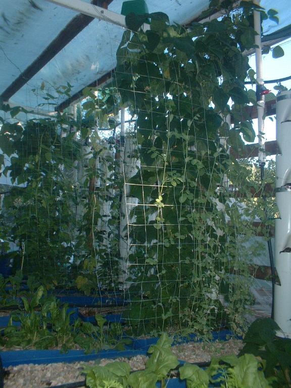 drums and towers 280407.jpg