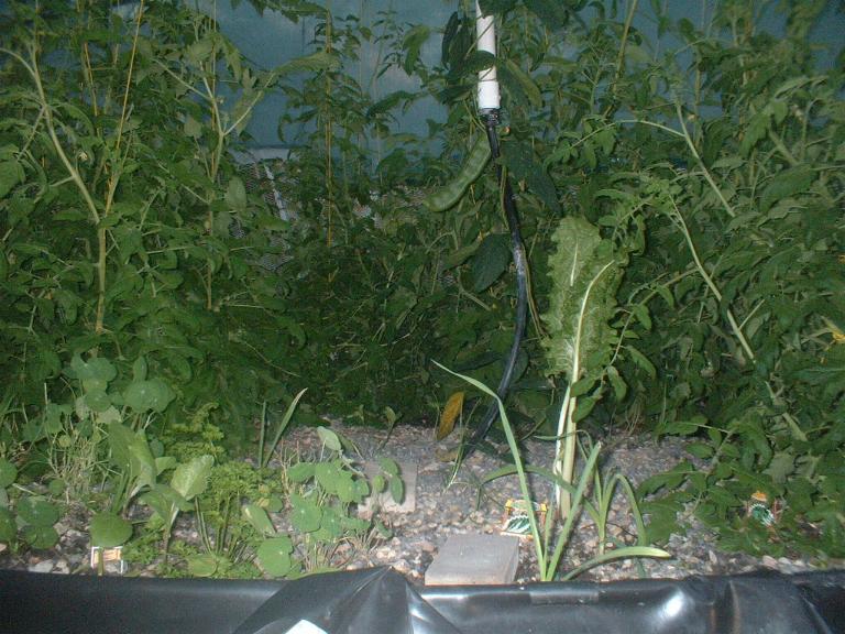 size does matter.jpg