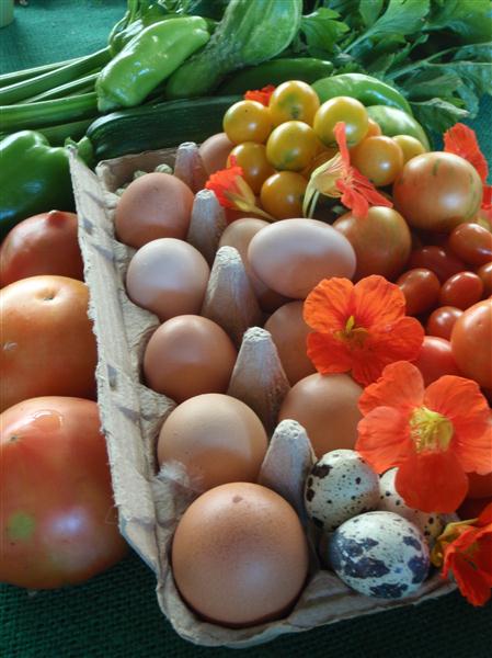 P1020514 (Custom).JPG