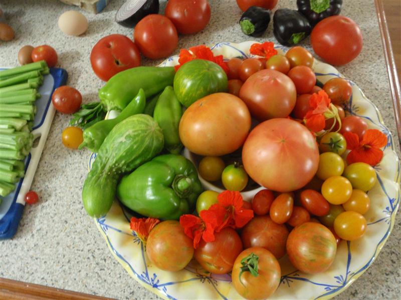 P1020529 (Custom).JPG