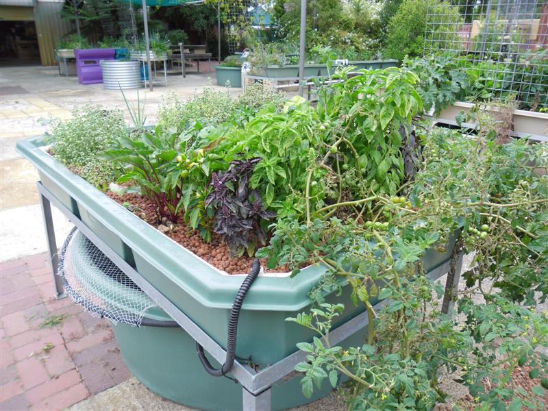 SAM_0788 (Medium).JPG