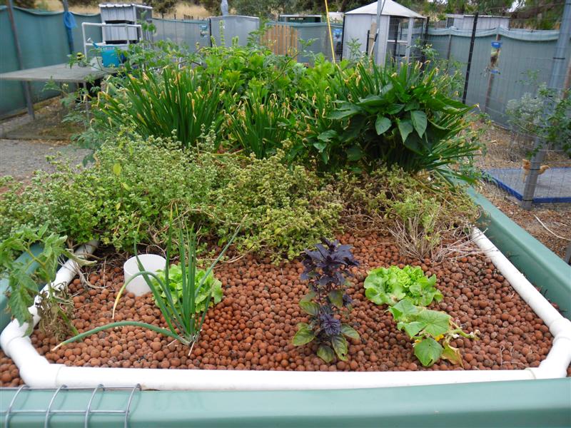 SAM_0792 (Medium).JPG