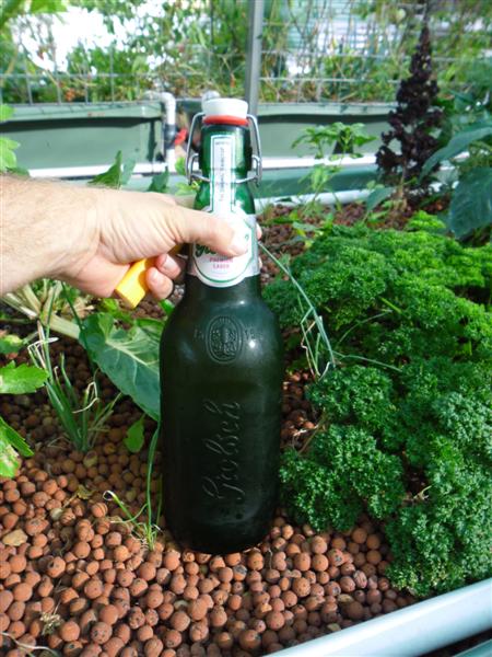 SAM_0795 (Medium).JPG