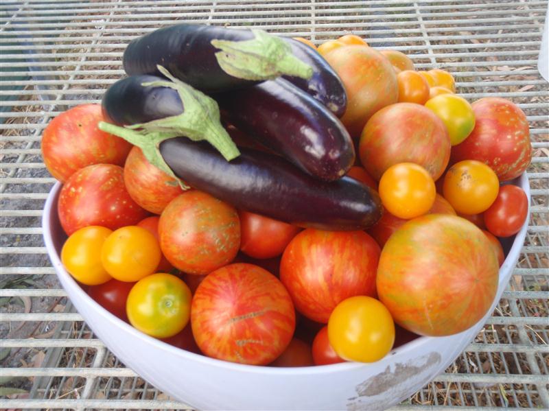 P1060409 (Custom).JPG