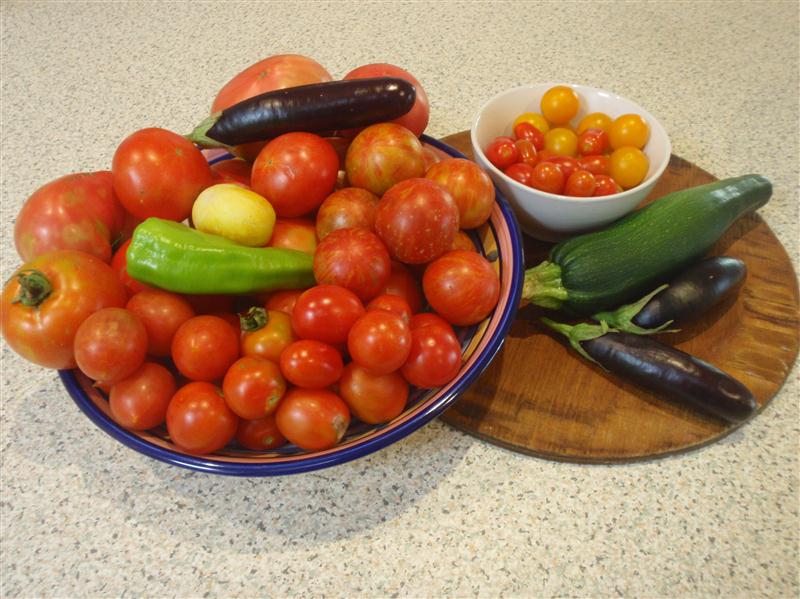 P1070418 (Custom).JPG