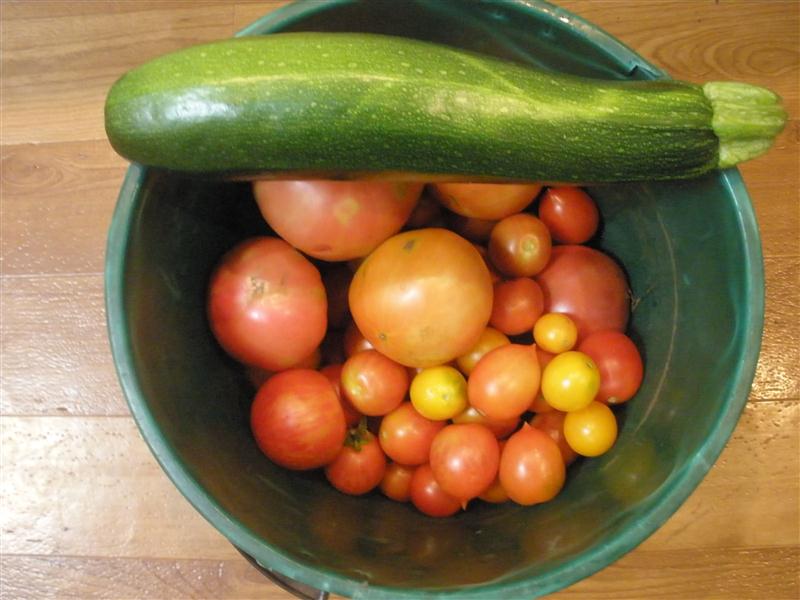 P1090350 (Custom).JPG