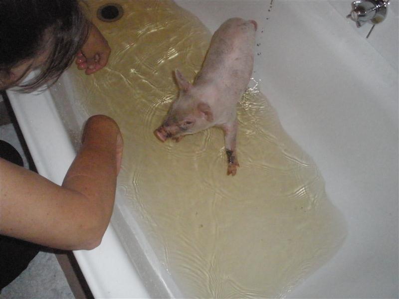 P1110393 (Custom).JPG