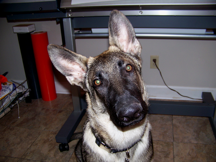 HD 12- 10 - 11 head study 2.jpg