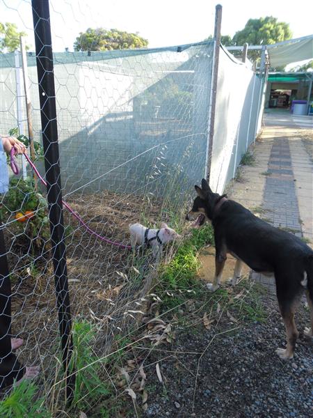 SAM_1200 (Custom).JPG