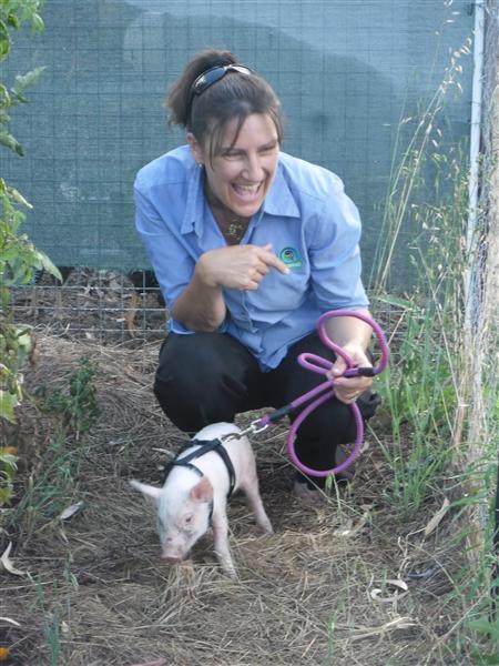 SAM_1197 (Custom).JPG