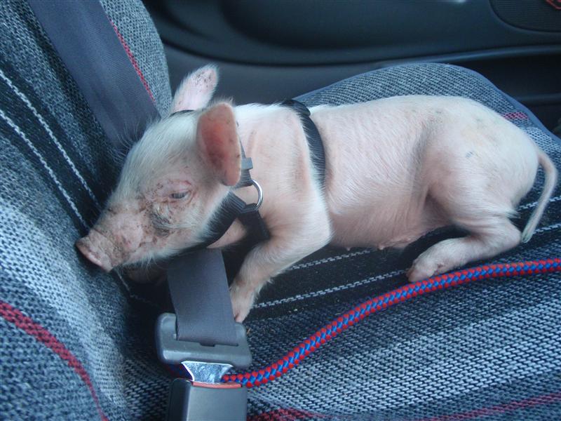 P1120501 (Custom).JPG