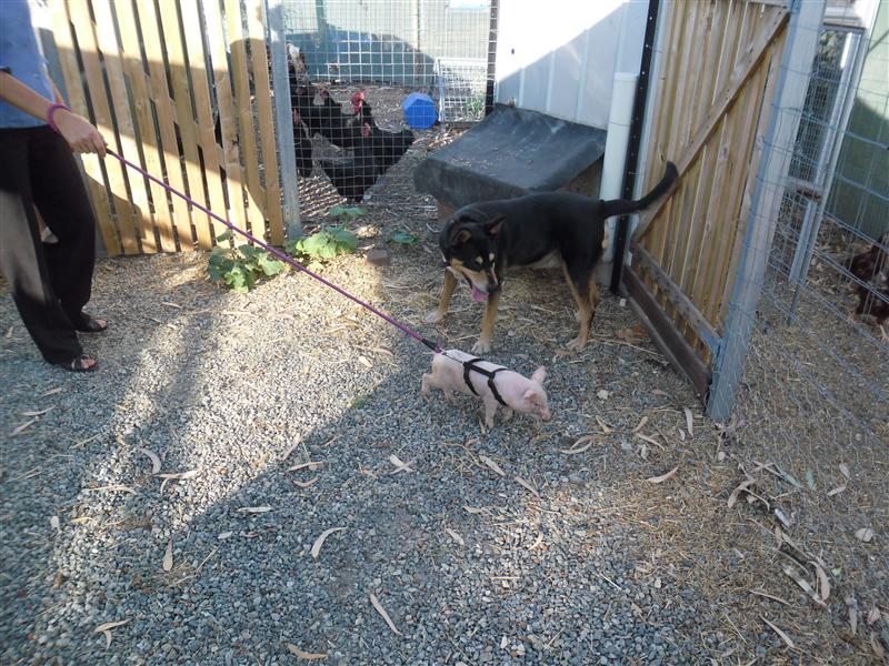 SAM_1203 (Custom).JPG