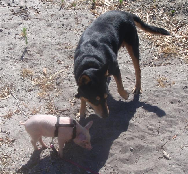 P1120511 do you see what I see (Custom).jpg