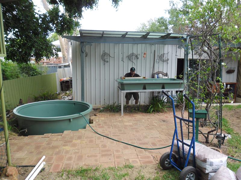 SAM_1218 (Custom).JPG