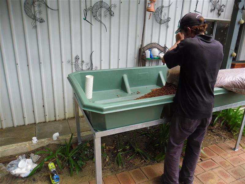 SAM_1221 (Custom).JPG