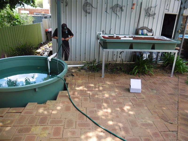 SAM_1224 (Custom).JPG