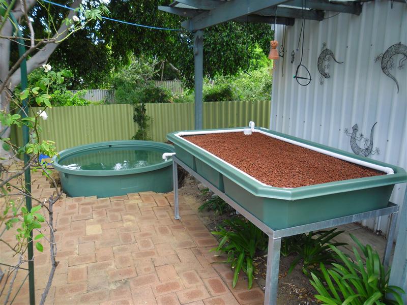 SAM_1231 (Custom).JPG