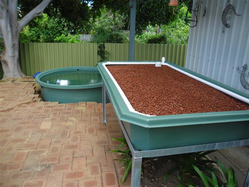 SAM_1239 (Custom).JPG