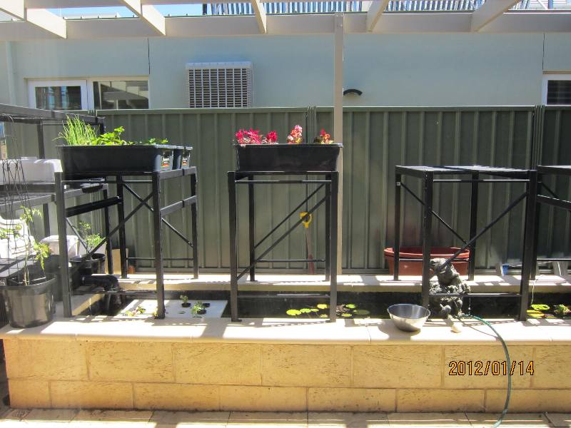 120114 shelve stand1.JPG