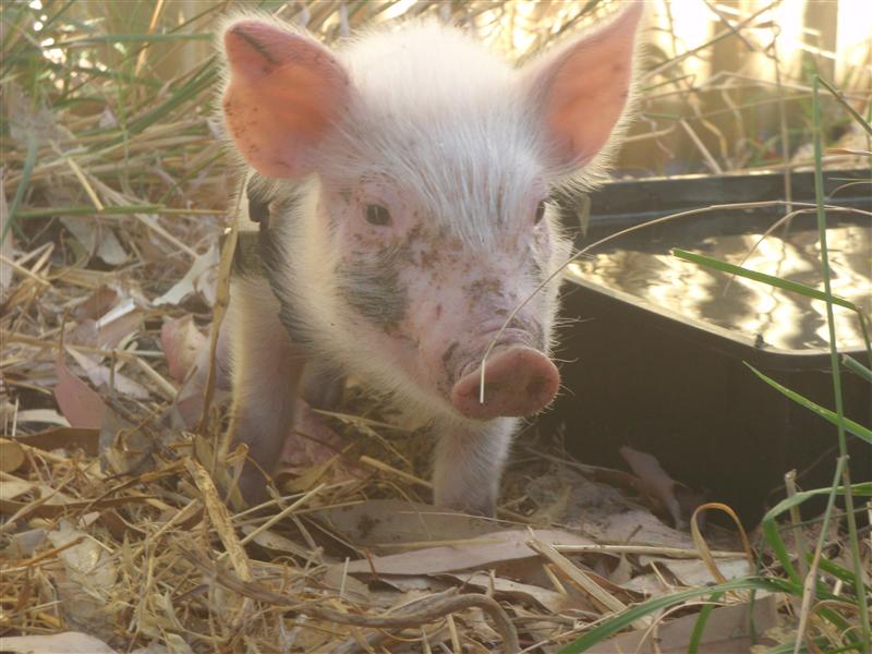 P1130511 (Custom).JPG