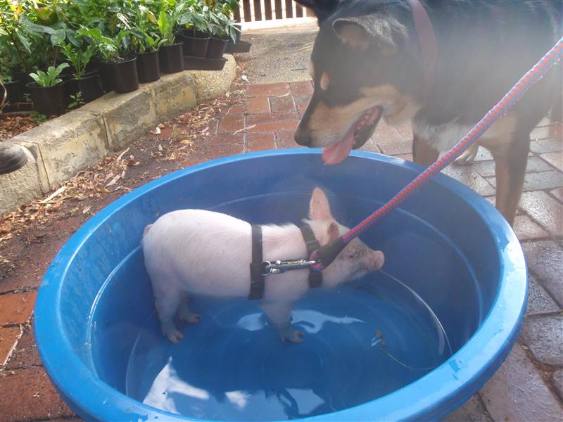 P1130507 (Custom).JPG