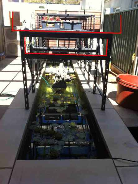 120114 grow bed comparison2.JPG