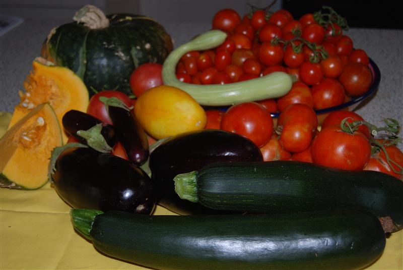 DSC_1211 (Custom).JPG