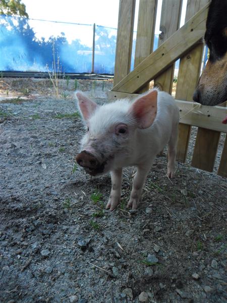 SAM_0818 (Custom).JPG