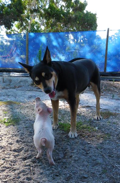 SAM_0823 1 (Custom).jpg