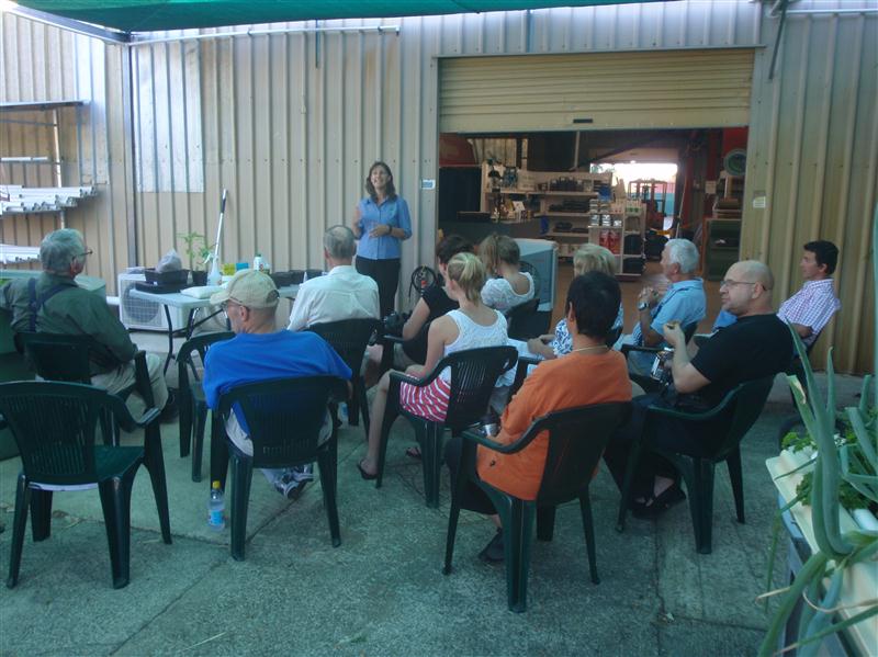 P1170561 (Custom).JPG