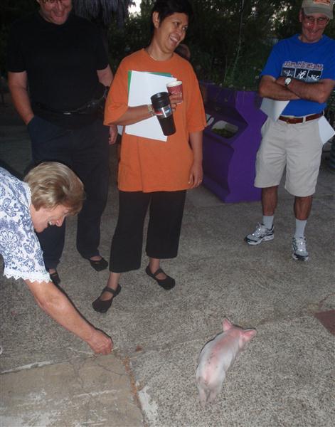 P1170593 1 (Custom).jpg