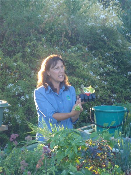 P1170580 (Custom).JPG