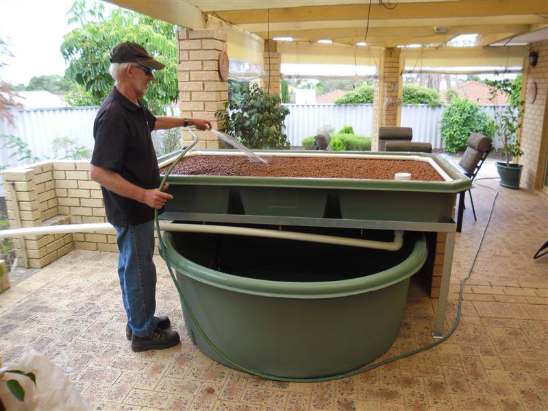 SAM_1257 (Custom).JPG