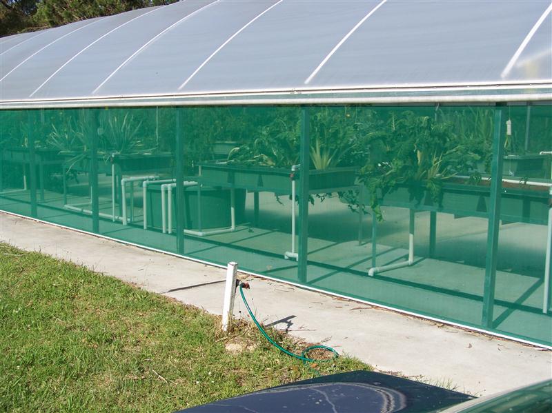 100_6795 (Custom).JPG