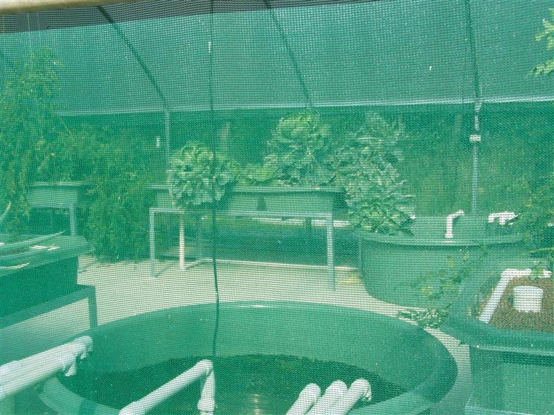 100_6796 (Custom).JPG