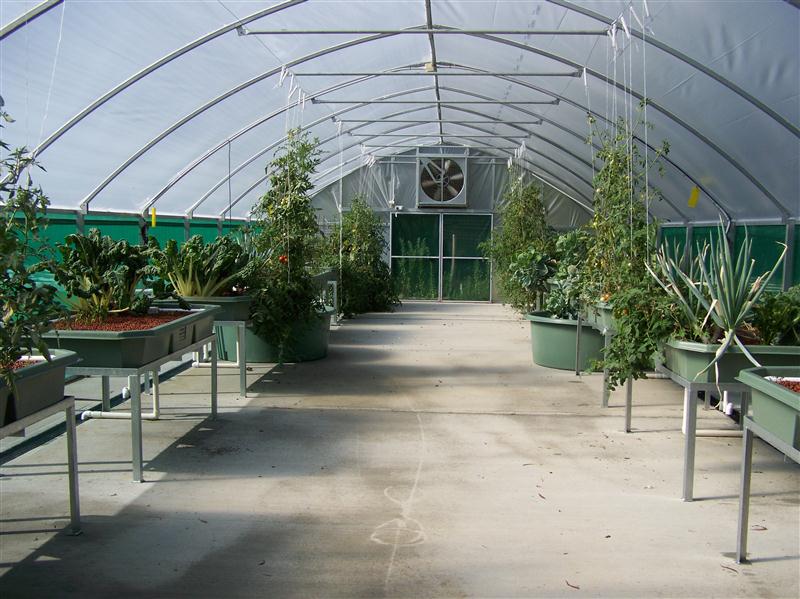 100_6770 (Custom).JPG