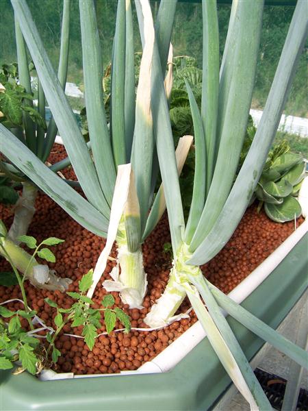 100_6774 (Custom).JPG