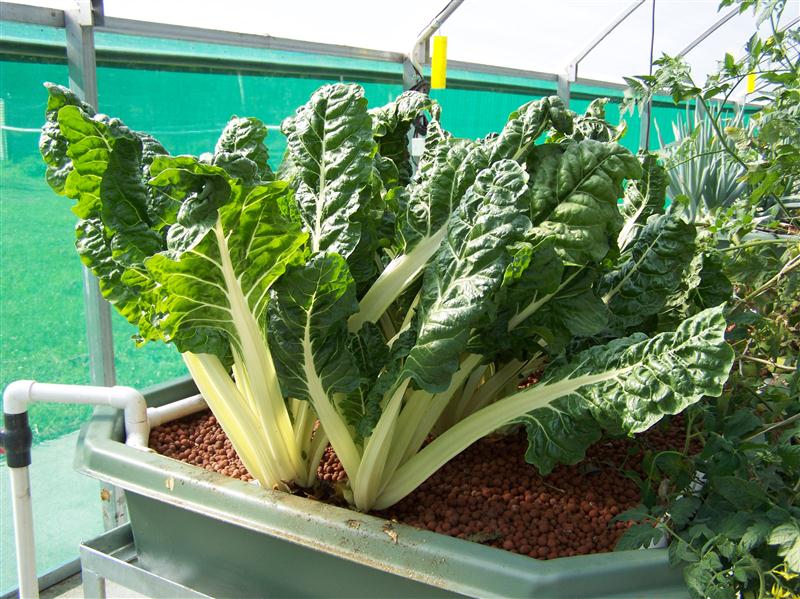 100_6777 (Custom).JPG