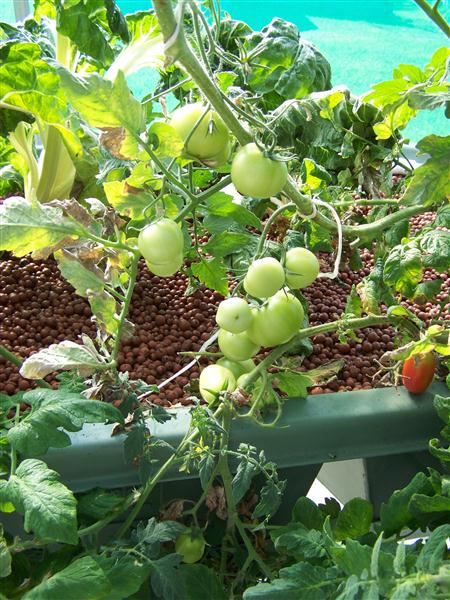 100_6778 (Custom).JPG