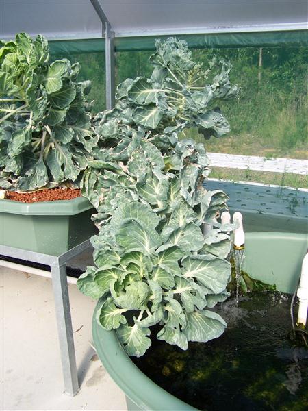 100_6779 (Custom).JPG