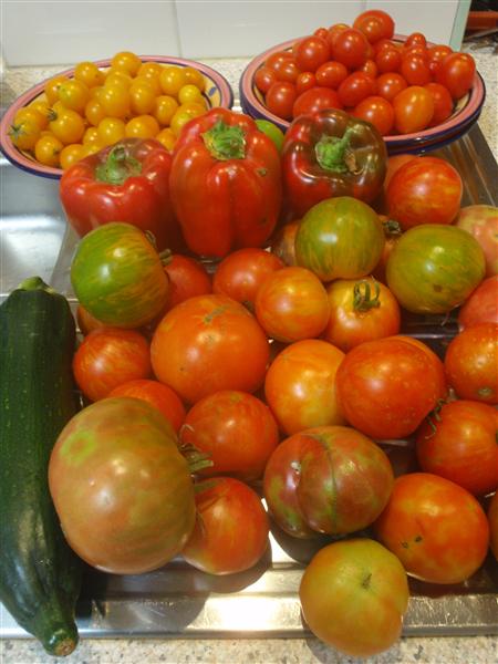 P1190642 (Custom).JPG