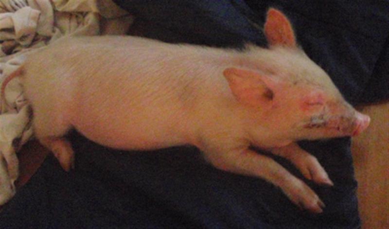 P1190650 1 (Custom).jpg