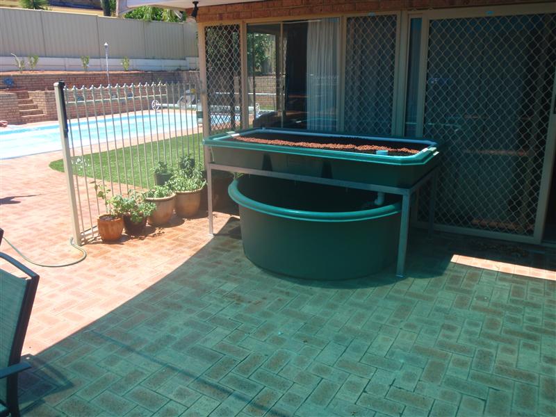 P1200671 (Custom).JPG