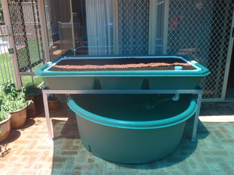 P1200672 (Custom).JPG